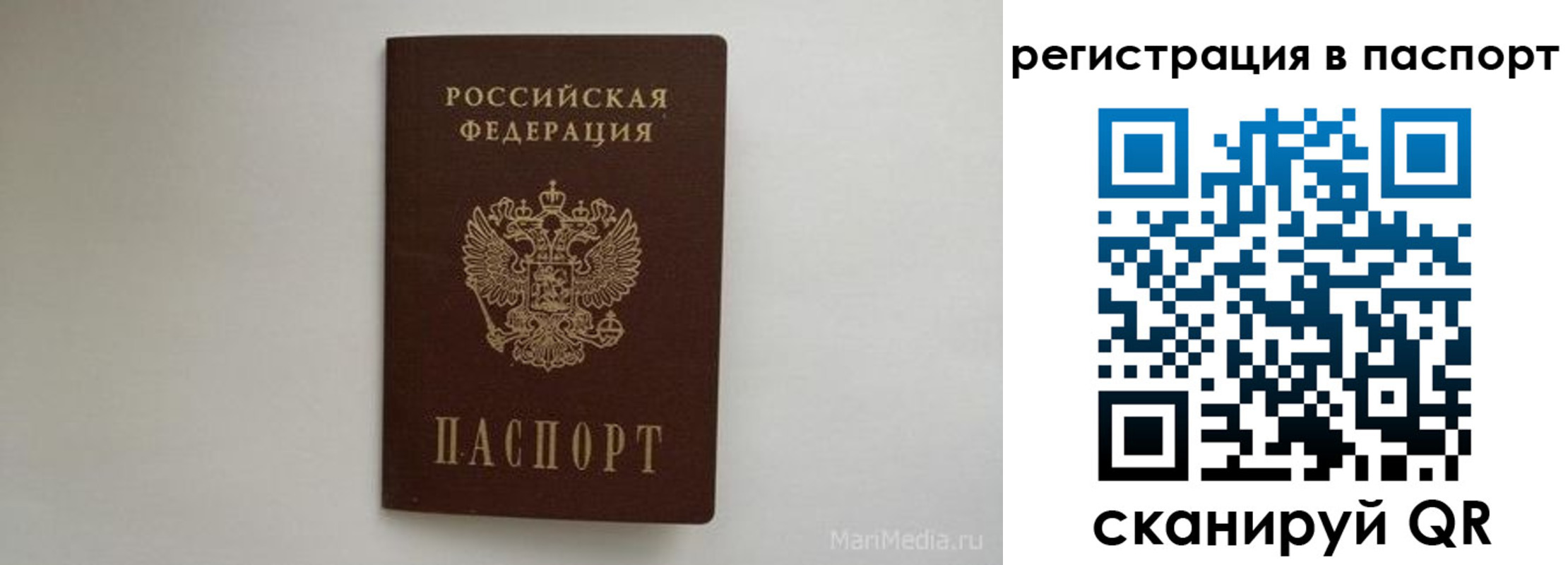 прописка в Апатитах