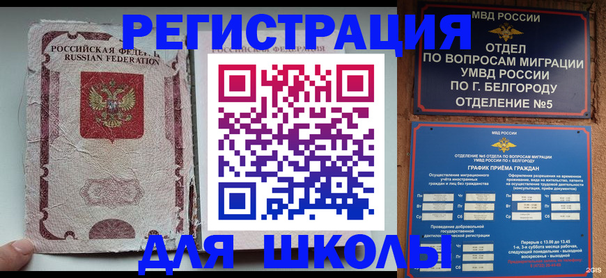 прописка штамп в Апатитах